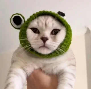 🐸 emoji Завертин милашкеrrr Telegram sticker 12 of 24