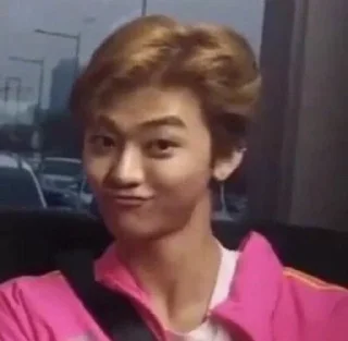 Sticker from kpop meme by llanna