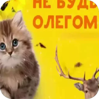 Sticker from Китикет