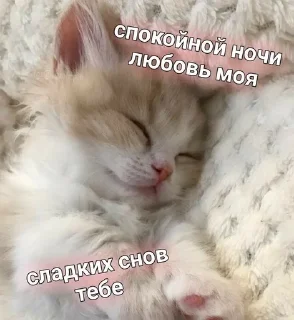🌟 emoji Ночь)) Telegram sticker 23 of 28