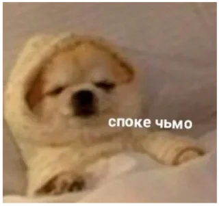 😴 emoji СПОКИ/заказать @yleystickers. Telegram sticker 19 of 115