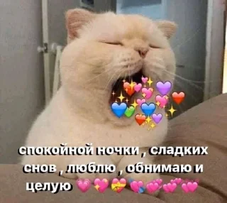 Sticker from Ночь))