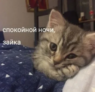 😴 emoji СПОКИ/заказать @yleystickers. Telegram sticker 21 of 115
