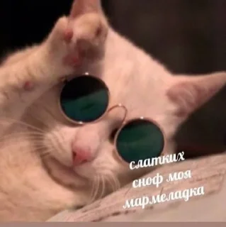 Sticker from Спкй_нч