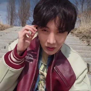 🍁 emoji hoseok @heslu Telegram sticker 18 of 40