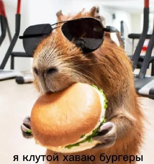 Sticker from Ядерни пон
