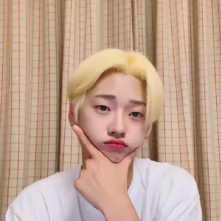 🫐 emoji seokhwa @X1NTS Telegram sticker 13 of 30