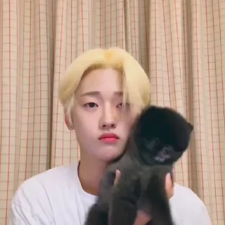 🫐 emoji seokhwa @X1NTS Telegram sticker 12 of 30