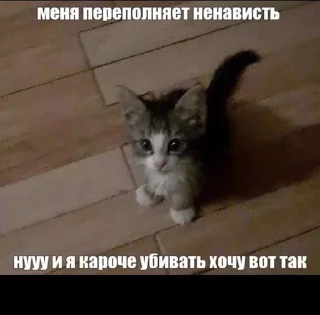 Sticker from Ну а чоб нет