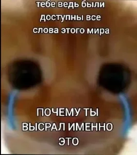 Sticker from Ну а чоб нет