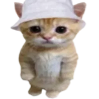 🐈 emoji Котики Telegram sticker 14 of 85