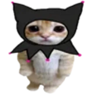 😘 emoji Котики Telegram sticker 22 of 85