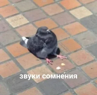 😂 emoji Мемчики @kosem_ka Telegram sticker 5 of 46