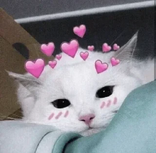 🥰 emoji Стики ПИ Telegram sticker 17 of 18