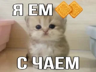 🌟 emoji YaniksSB Telegram sticker 19 of 39