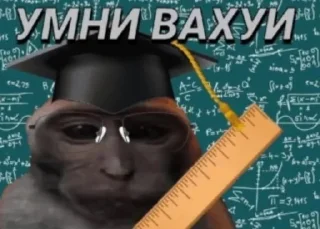 🤓 emoji обезьянка вахуи от @dnevnikayk Telegram sticker 5 of 19
