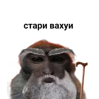 😯 emoji обезьянка вахуи от @dnevnikayk Telegram sticker 16 of 19