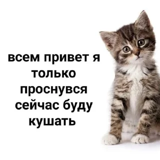 🫠 emoji вахуи Telegram sticker 18 of 30