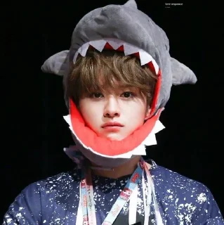 🥰 emoji минхо бог Telegram sticker 18 of 21