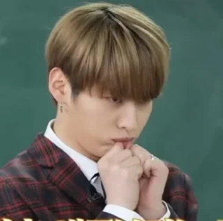 Sticker from Stray Kids [Dingo School]