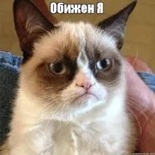 😔 emoji Важные переговоры Telegram sticker 12 of 37