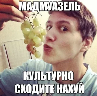 🥰 emoji Долбоебизм : @fStikBot Telegram sticker 17 of 65