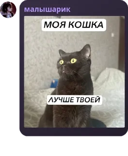 👩‍🎨 emoji софа крутая Telegram sticker 12 of 112