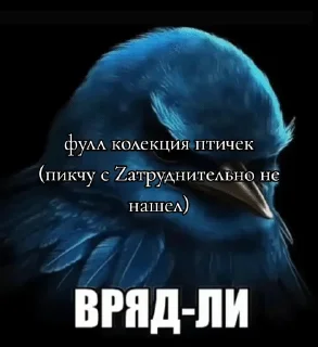 Sticker from Птичкэ😔 @leshiy_10