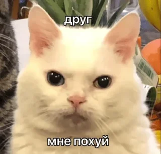 😑 emoji Джул 2 Telegram sticker 9 of 120