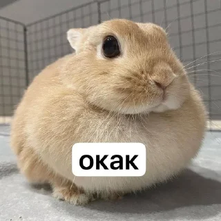 🫡 emoji 💌🪩 приколюшники Telegram sticker 6 of 42