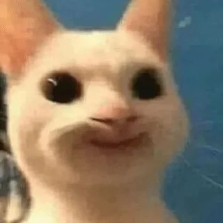 🌟 emoji Котики°°`@itz.Any0 Telegram sticker 7 of 15
