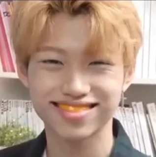 🐯 emoji →Lee Felix | @FelixSKZ Telegram sticker 20 of 49
