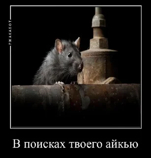 Крысиная галерея sticker 2
