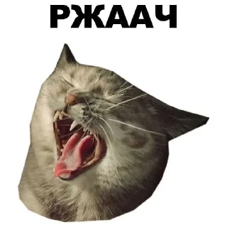 😂 emoji Хз Telegram sticker 6 of 13