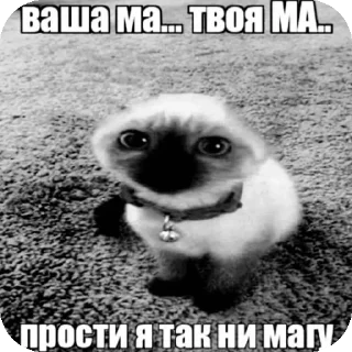 Sticker from Котики
