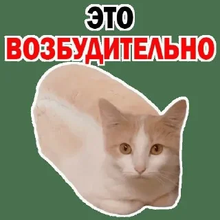 🌟 emoji Лучшие стикеры в твоей жизни Telegram sticker 21 of 120