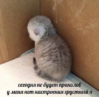 🤧 emoji Пикчи Telegram sticker 14 of 120