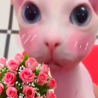 🌺 emoji китики by @emivite Telegram sticker 20 of 36