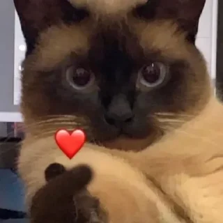 ❤️ emoji китики by @emivite Telegram sticker 8 of 36