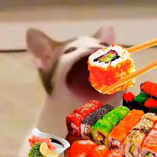 🍣 emoji китики by @emivite Telegram sticker 22 of 36