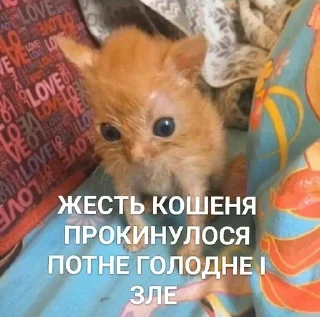 🥱 emoji Щось типу...🤨 Telegram sticker 23 of 120