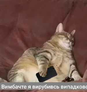 😐 emoji Щось типу...🤨 Telegram sticker 15 of 120