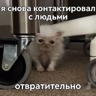 Sticker from Супер котики