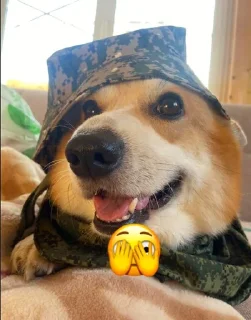 🫣 emoji ЛЕОНИДДД Telegram sticker 7 of 41