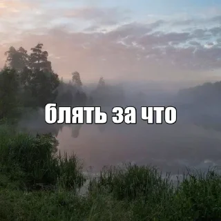 🌟 emoji грибнойприкоп Telegram sticker 10 of 41