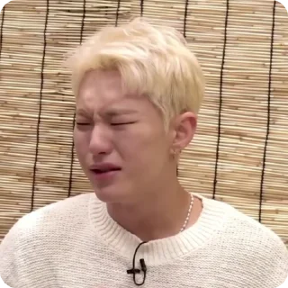 Sticker from KPOP MEMES 1