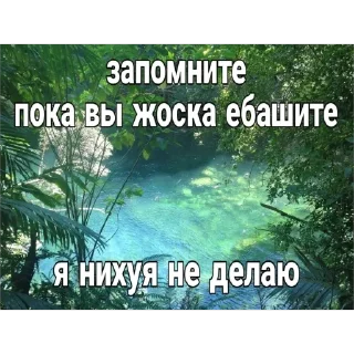 😇 emoji грибнойприкоп Telegram sticker 18 of 41