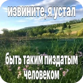 🤫 emoji грибнойприкоп Telegram sticker 23 of 41