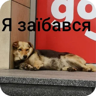 🐶 emoji Шось Telegram sticker 10 of 17