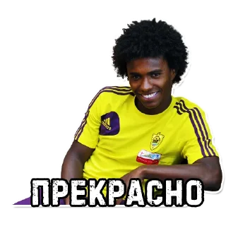Sticker from FC Anji 2012/13